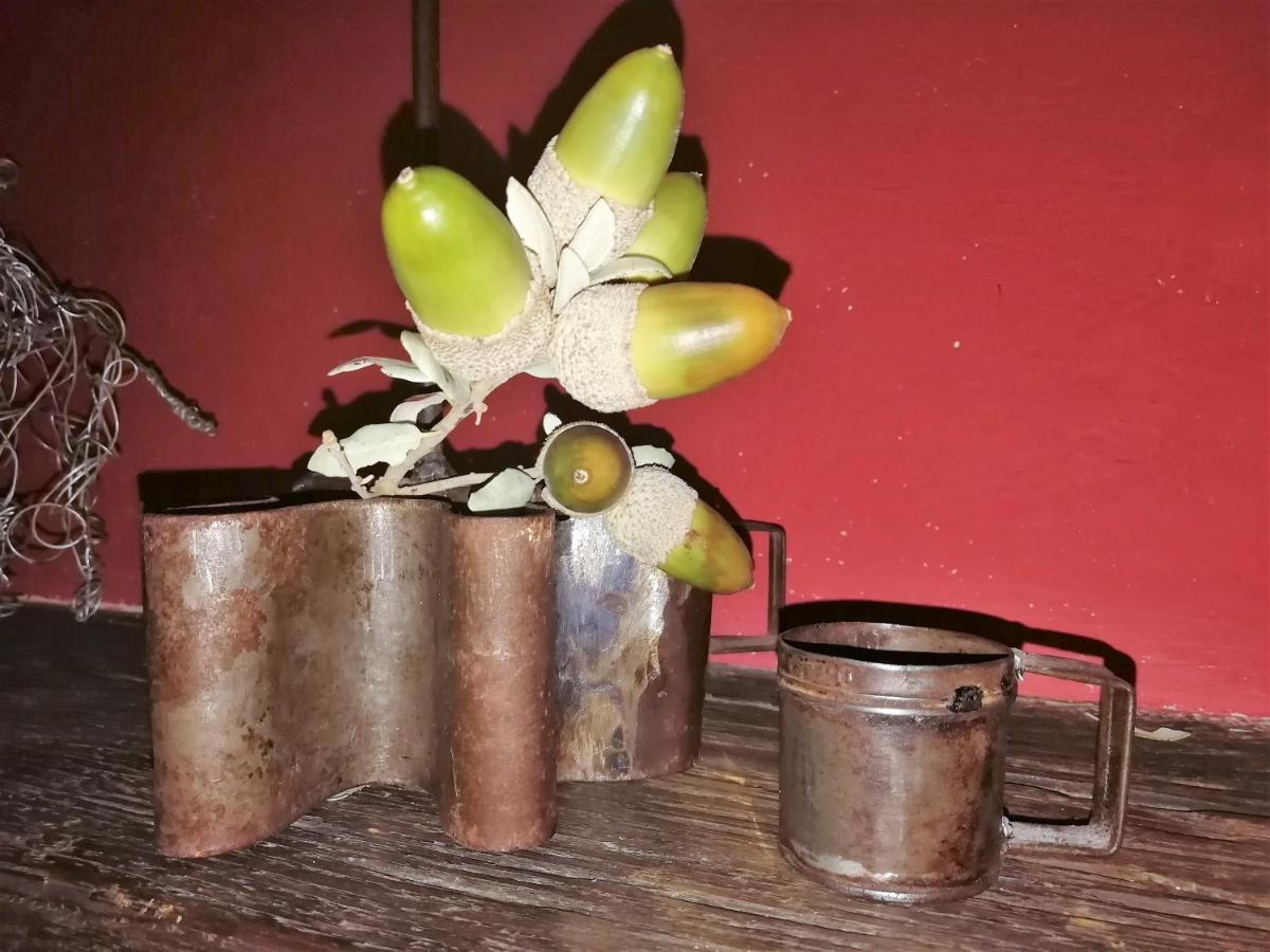 Casa Rural Abuela Maxi Riolobos Ngoại thất bức ảnh